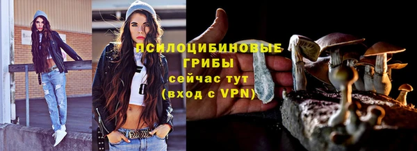 сатива Саяногорск