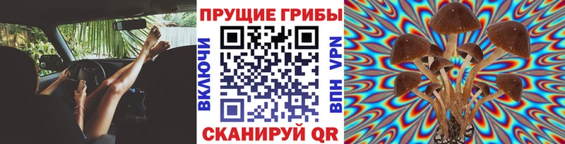 МЕГА как войти  Заполярный  Галлюциногенные грибы мухоморы 